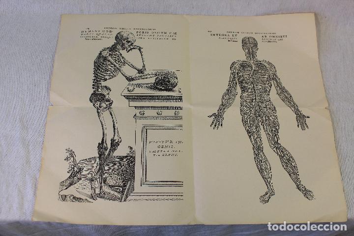 Mapas contempor&aacute;neos: Mapa andreaae vesalii brvxellensis - Foto 2
