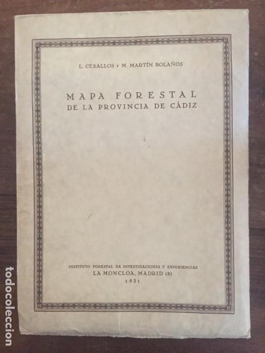 Mapas contempor&aacute;neos: MAPA FORESTAL DE LA PROVINCIA DE C&Aacute;DIZ - Foto 1