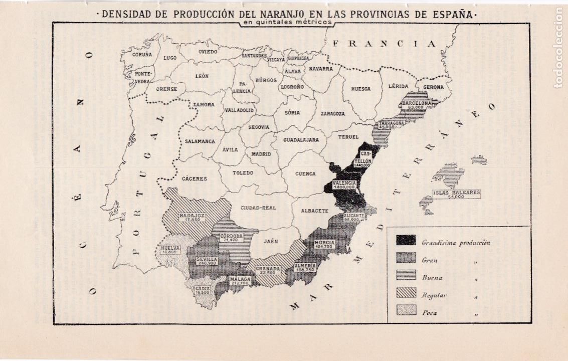 Mapas contempor&aacute;neos: Mapa densidad de de producci&oacute;n del naranjo * NARANJA * ESPA&Ntilde;A * - 1927