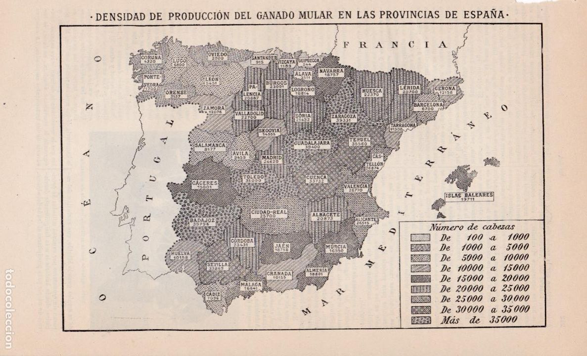 Mapas contempor&aacute;neos: Mapa: densidad de producci&oacute;n del ganado mular en las provincias de Espa&ntilde;a * MULOS *  - 1927