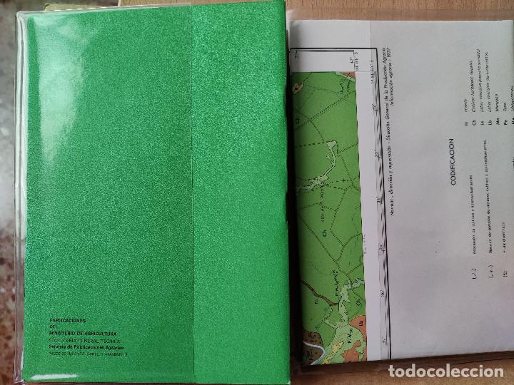 Mapas contempor&aacute;neos: Mapa de cultivos y aprovechamientos Peralta (Navarra) - Foto 2