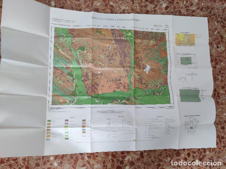 Mapas contempor&aacute;neos: Mapa de cultivos y aprovechamientos Peralta (Navarra) - Foto 8