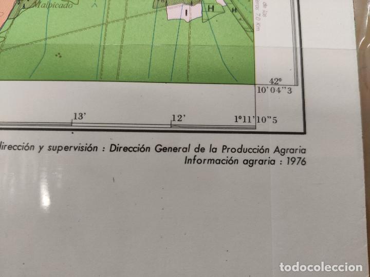 Mapas contempor&aacute;neos: mapa de cultivos y aprovechamiento. Sadaba (Navarra) - Foto 4