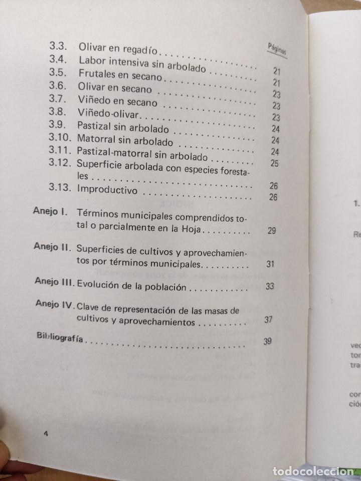 Mapas contempor&aacute;neos: mapa de cultivos y aprovechamiento. Sadaba (Navarra) - Foto 8