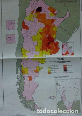 Mapas contempor&aacute;neos: lamina hoja gruesa mapa de argentina produccion