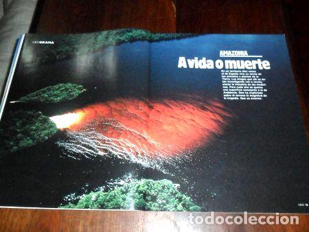 Mapas contempor&aacute;neos: amazonia 1989 amazonas a vida o muerte plano mapa paisaje