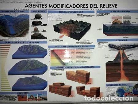 Mapas contempor&aacute;neos: lamina mural doble faz