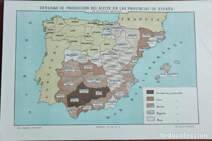Mapas contempor&acirc;neos: MAPA DENSIDAD DE PRODUCCI&Oacute;N DEL ACEITE EN PROVINCIAS ESPA&Ntilde;A ESPASA-CALPE