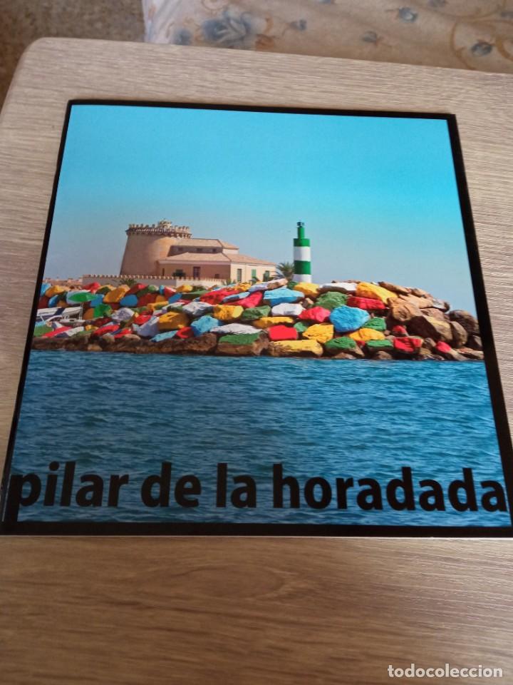 Mapas contempor&aacute;neos: guia con mapa pilar de la horadada - Foto 1