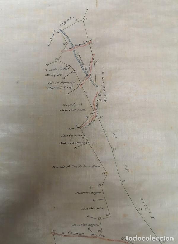 Mapas contempor&aacute;neos: Plano de la Dehesa &ldquo;El Bald&iacute;o&rdquo; de 1903 - Foto 4