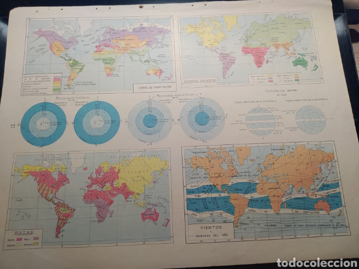 Zeitgen&ouml;ssische Karten: LAMINA ESCOLAR MAPA A&Ntilde;OS 60. ZONA DE VEGETACION, REGIONES ZOOLOGICAS, RAZAS Y VIENTOS. MIDE 34 X 26.