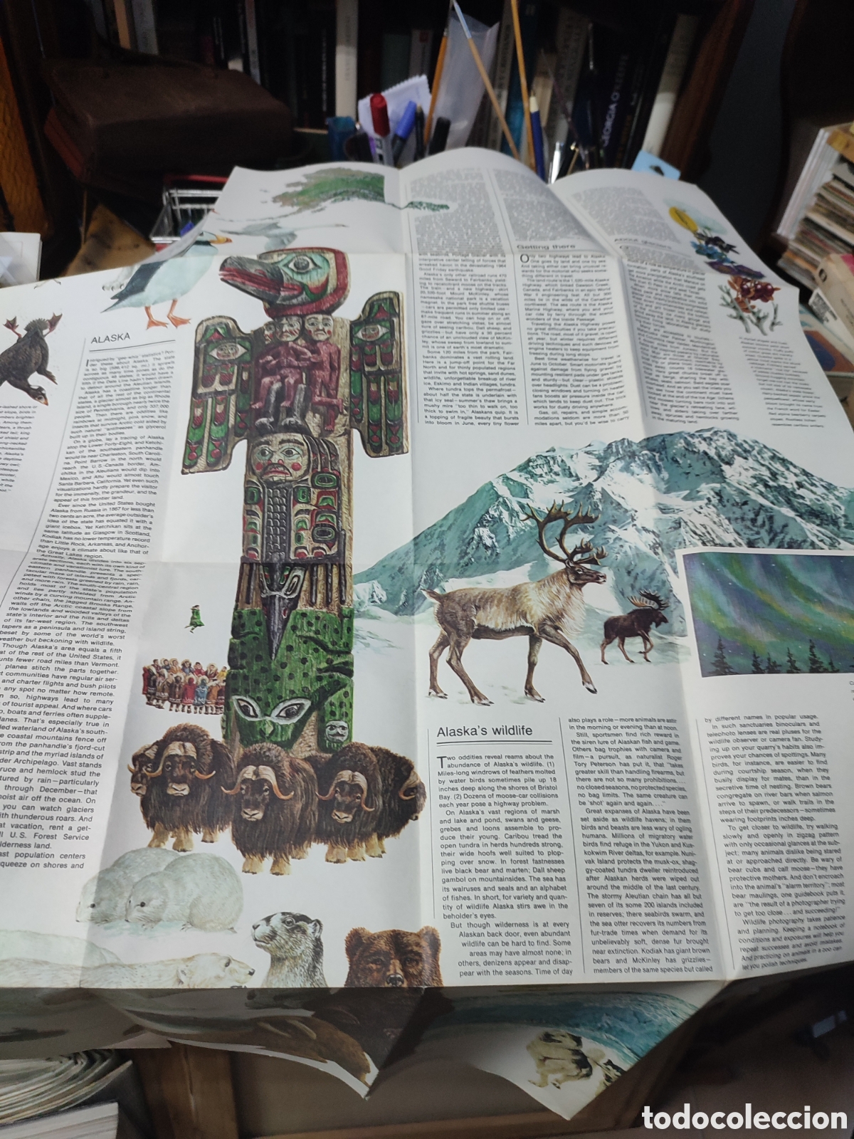 Mapas contempor&aacute;neos: Mapa Alaska National Geographic - Foto 6