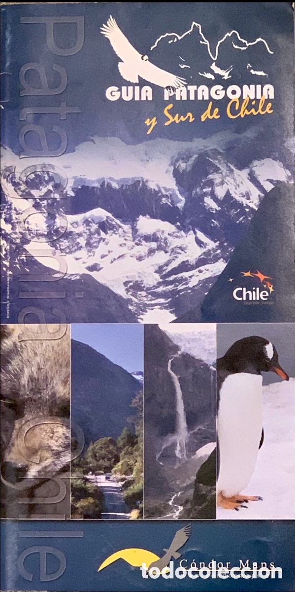 Mapas contempor&aacute;neos: Mapa. Patagonia y Sur de Chile. C&oacute;ndor Maps. - Foto 1