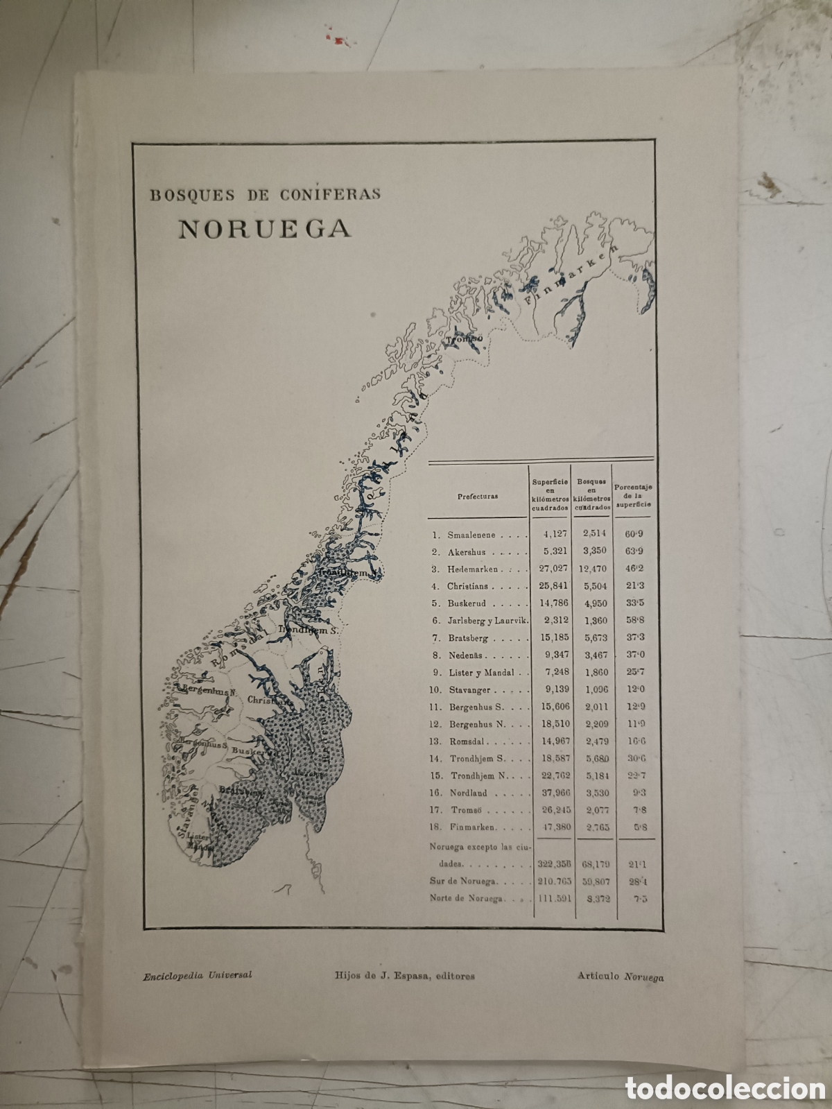 mapa de bosques de coníferas
