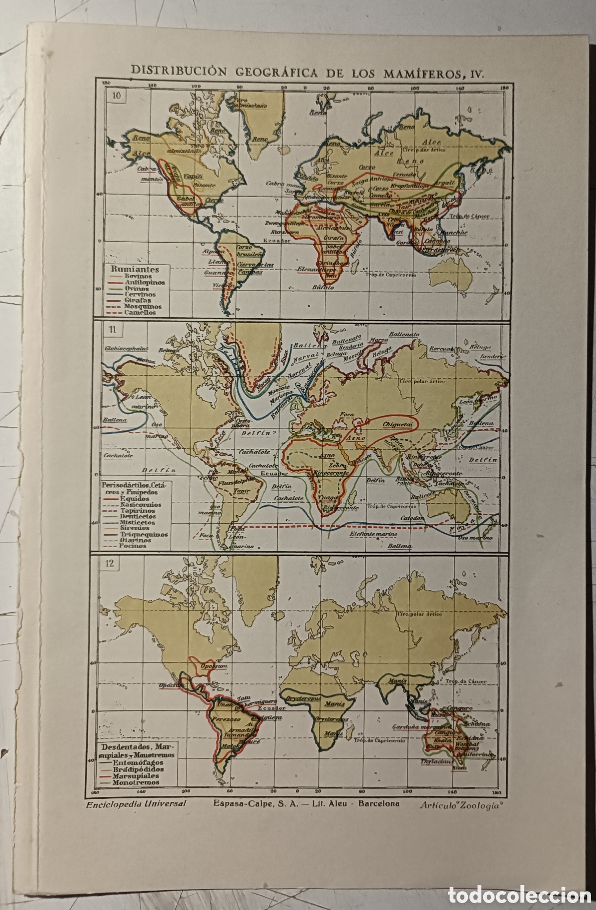 Mapas contempor&aacute;neos: Mapa de la distribuci&oacute;n de los mam&iacute;feros lV - Foto 1