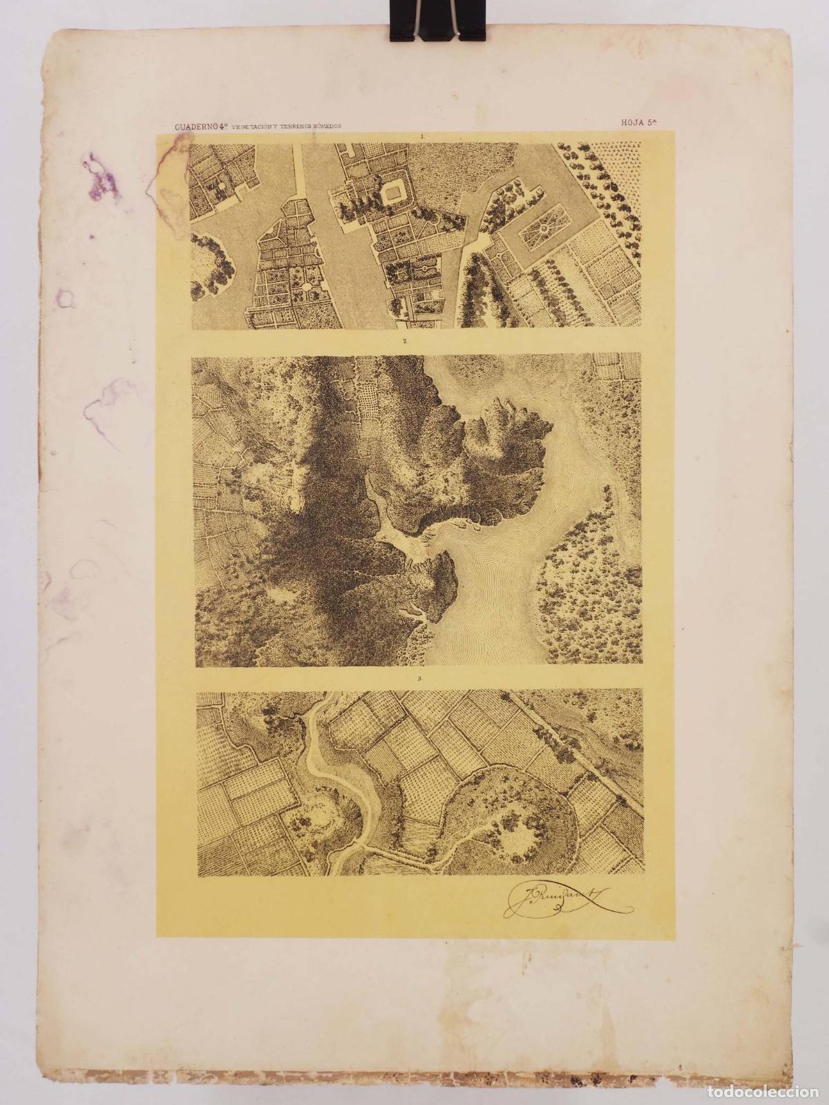 Mapas contempor&aacute;neos: LECCIONES DE DIBUJO TOPOGR&Aacute;FICO CUAD 4 HOJA 5. VEGETACI&Oacute;N Y TERRENOS H&Uacute;MEDOS (Jos&eacute; M. De Riudavets).