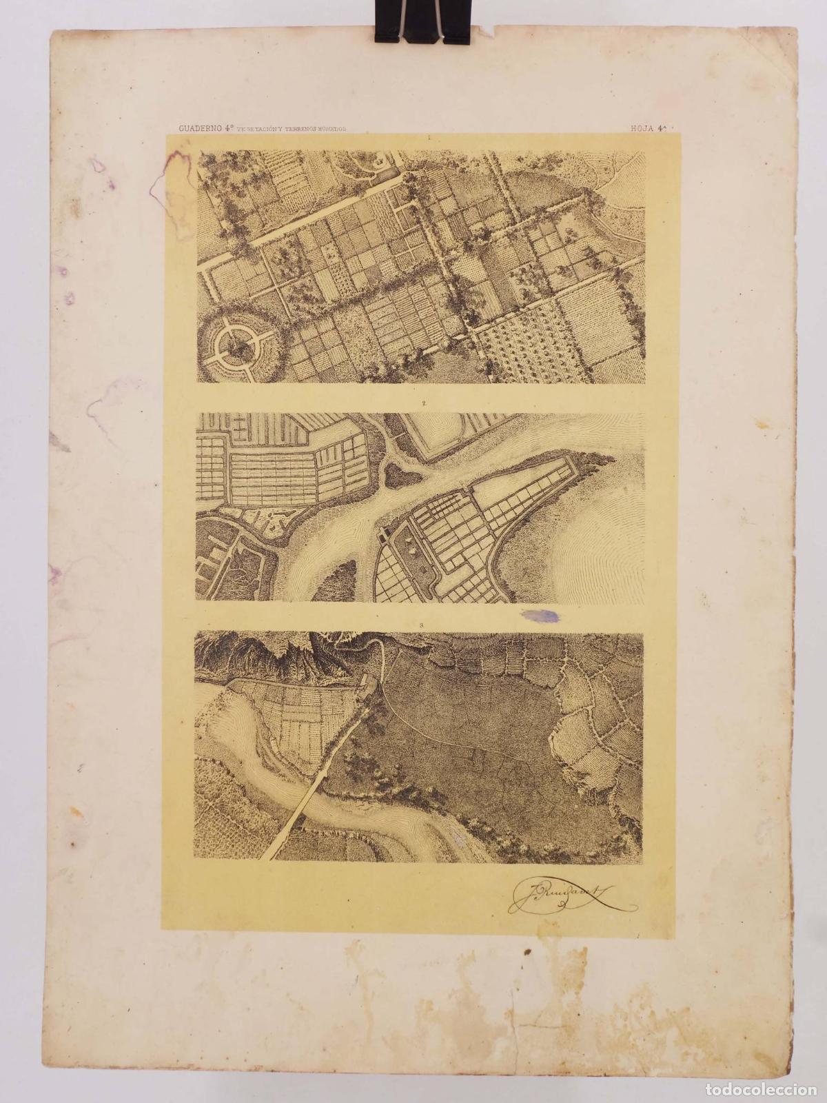 Mapas contempor&aacute;neos: LECCIONES DE DIBUJO TOPOGR&Aacute;FICO CUAD 4 HOJA 4. VEGETACI&Oacute;N Y TERRENOS H&Uacute;MEDOS (Jos&eacute; M. De Riudavets).