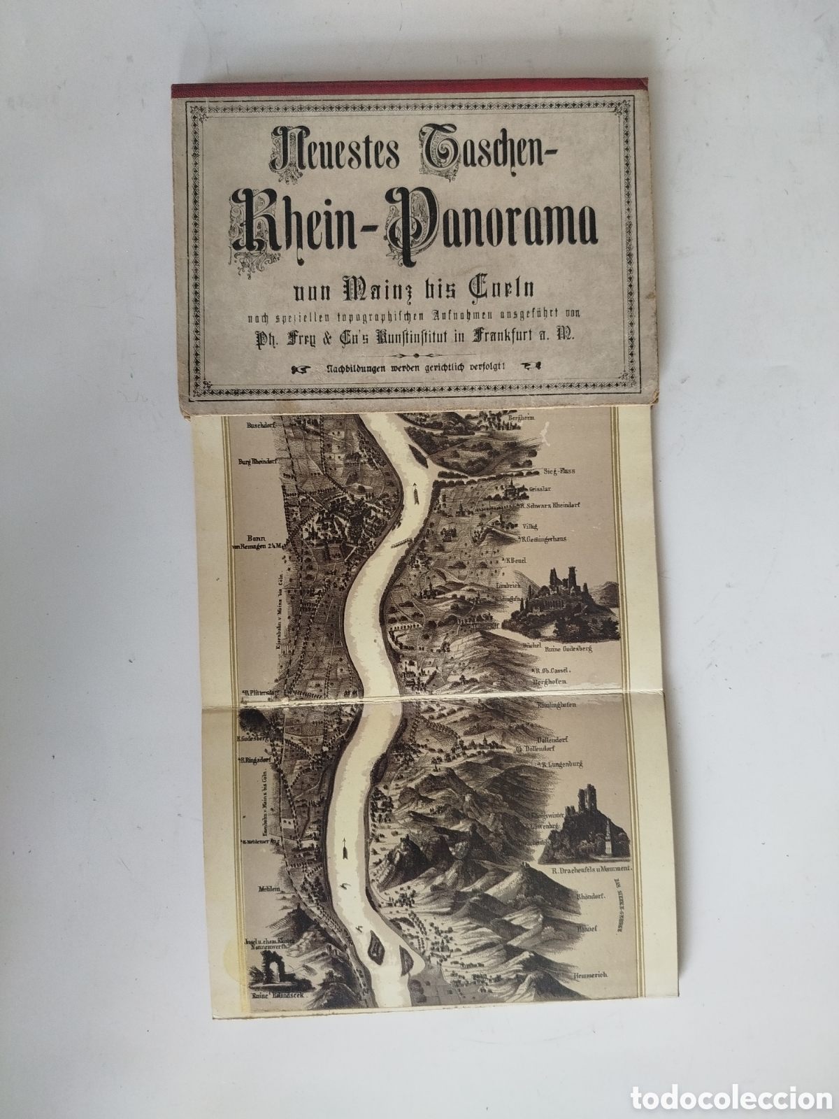 Mapas contempor&aacute;neos: PANORAMA DEL RIN DESDE MAGUNCIA HASTA COLONIA. S. XIX
