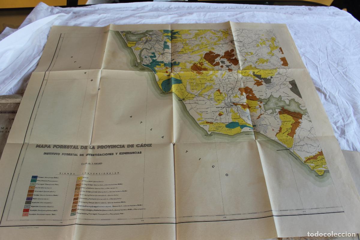 Mapas contempor&aacute;neos: MAPA FORESTAL DE LA PROVINCIA DE CADIZ CEBALLOS Y BOLA&Ntilde;OS 1931