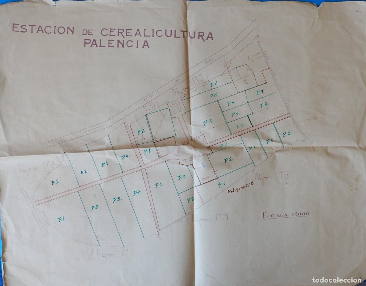 Mapas contempor&aacute;neos: ANTIGUO PLANO: ESTACI&Oacute;N DE CEREALICULTURA. PALENCIA
