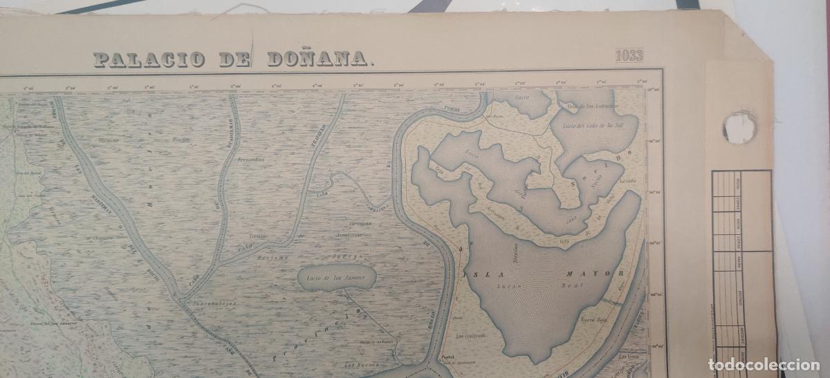 Mapas contempor&aacute;neos: Mapa entelado. Palacio de Do&ntilde;ana. - Foto 2