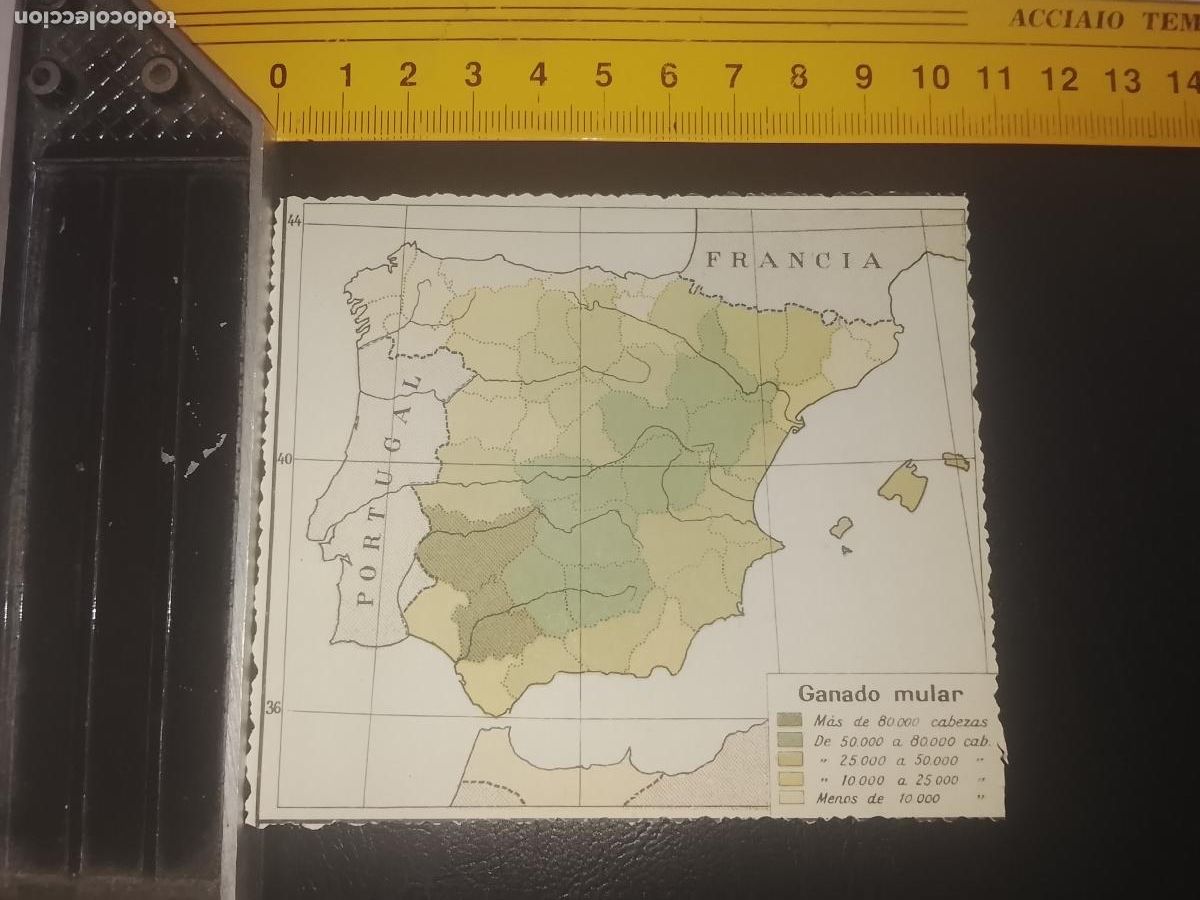 Mapas contempor&aacute;neos: plano mapa ESPA&Ntilde;A PENINSULA GANADO MULAR TRASERA METALES MERCURIO CINC ESTA&Ntilde;O