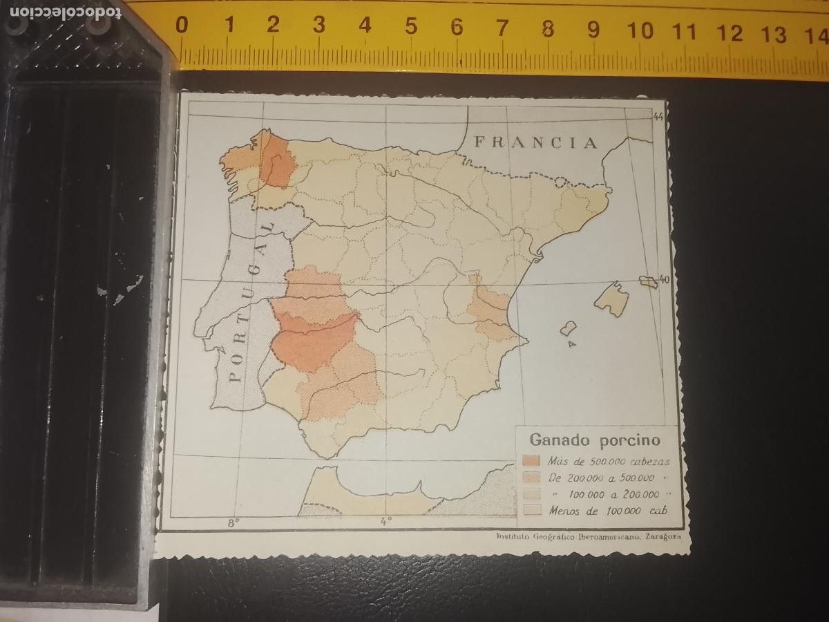 Mapas contempor&aacute;neos: plano mapa ESPA&Ntilde;A PENINSULA GANADO PORCINO TRASERA MINERALES VARIOS