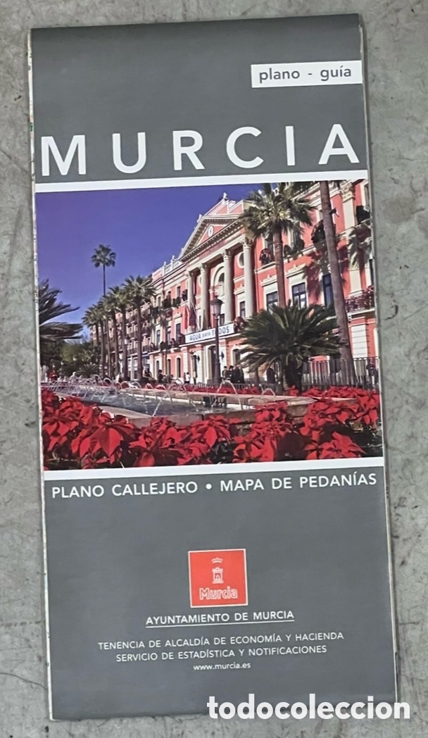 Mapas contempor&aacute;neos: Mapa. Plano Gu&iacute;a MURCIA. Plano callejero. Mapa de Pedan&iacute;as. 2010.