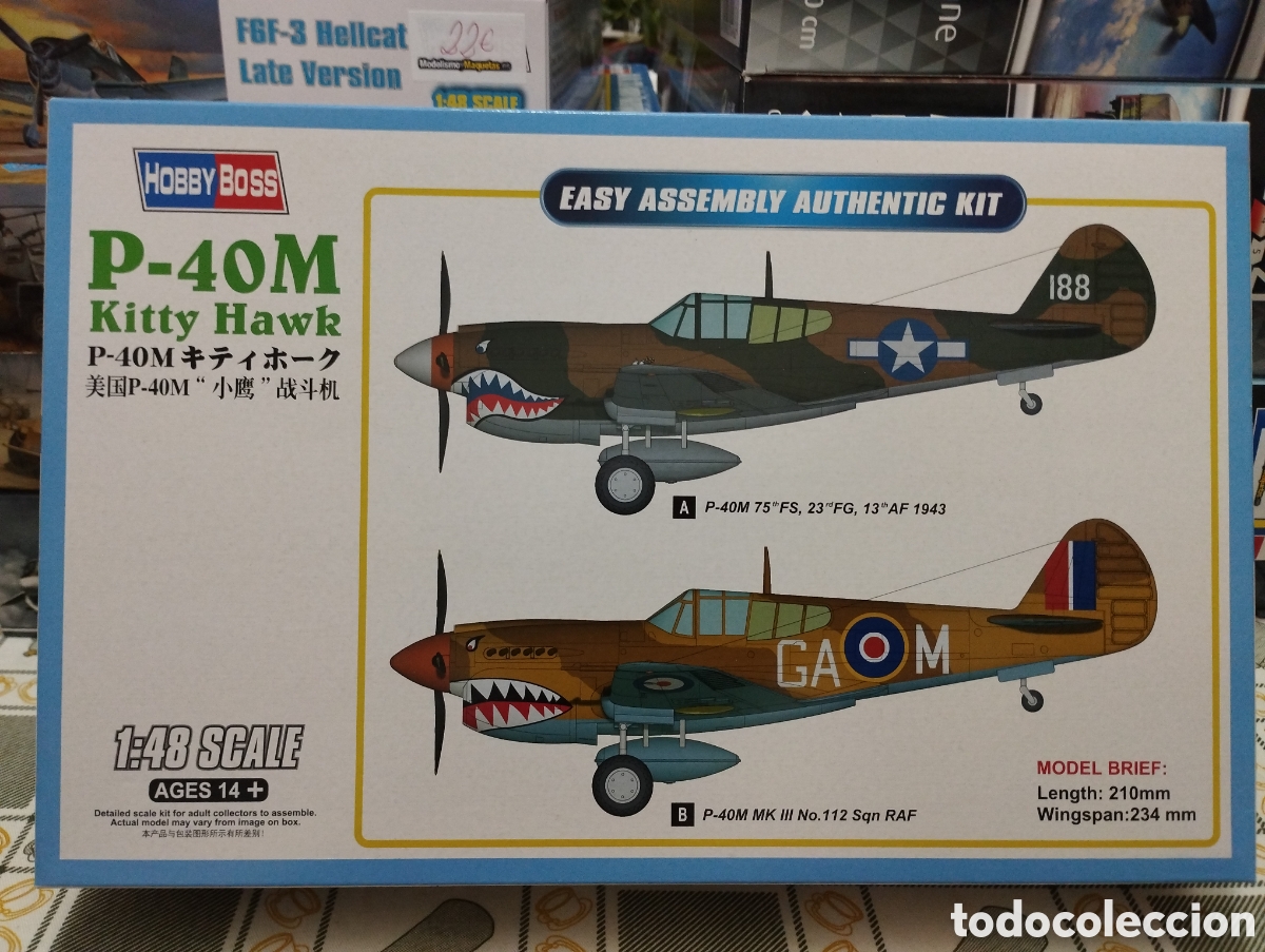 Maquetas: HOBBY BOSS - P-40M KITTY HAWK 1/48 85801 - Foto 1