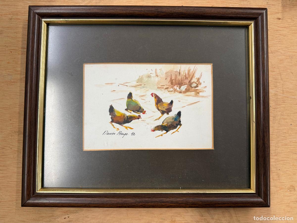 Maquetas: Preciosa acuarela - gallinas y/o gallos en el campo- firmado Danes Berga. 1992 ver medidas