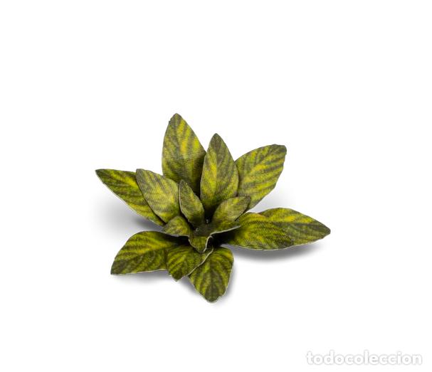 Maquetas: GAMERS GRASS - LASER PLANTS - DUMB CANE G52 - Foto 3