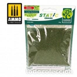 Maquetas: AMMO - HIERBA EST&Aacute;TICA - FIN DE VERANO &ndash; 2MM 8809