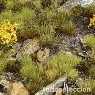 Maquetas: GAMERS GRASS - SET DE VEGETACI&Oacute;N DE MONTA&Ntilde;A G46 - Foto 1