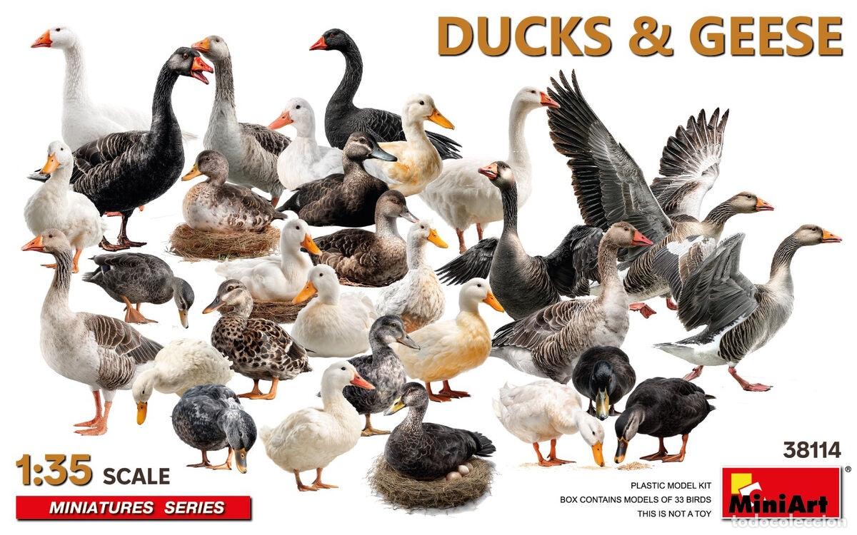 Maquetas: MINIART - DUCKS & GEESE 1/35 38114