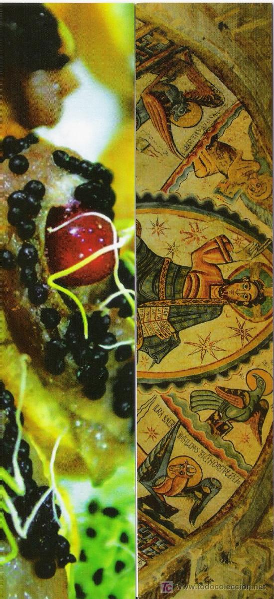 Coleccionismo marcap&aacute;ginas: Marcapaginas de andorra - Foto 1