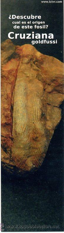 Coleccionismo Marcap&aacute;ginas: marcapaginas - ictvr - cruziana / fosil - fauna prehistoria