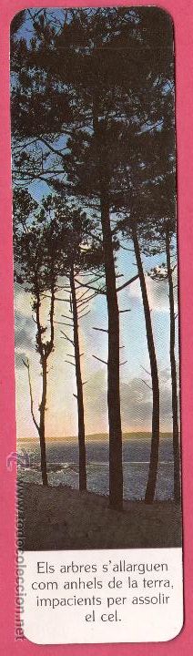 Sammeln von Lesezeichen: MARCAP&Aacute;GINAS. CENTRES D'ORIENTACI&Oacute; VOCACIONAL SANT JOAN DE DEU, SAN JUAN DE DIOS, P-11.