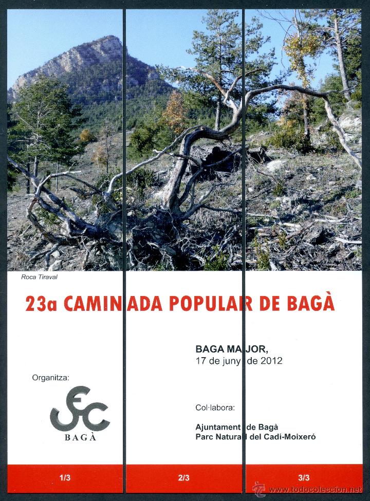 Coleccionismo marcap&aacute;ginas: Marcap&aacute;ginas PUZZLER BAGA - UEC 2012 - Foto 1