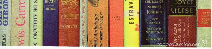 Coleccionismo marcap&aacute;ginas: MARCAP&Aacute;GINAS - LO DE LIBROS - Foto 1