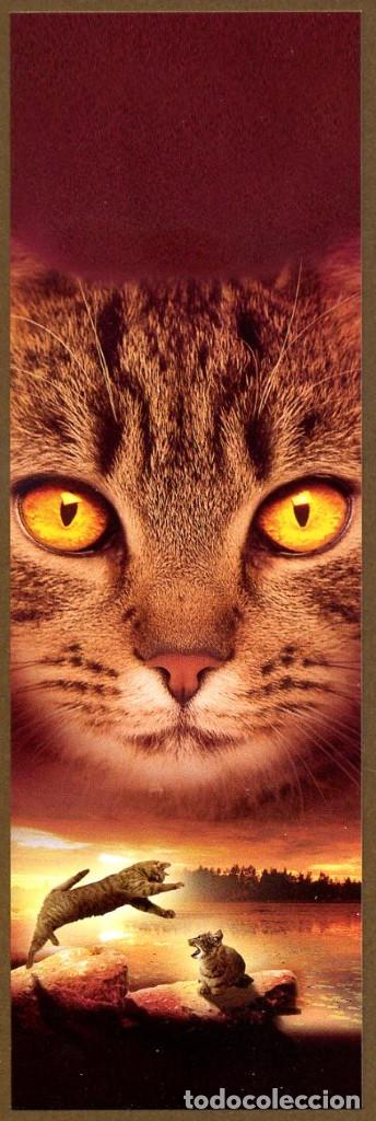Sammeln von Lesezeichen: Marcap&aacute;ginas &ndash; Editorial SALAMANDRA GATOS 308