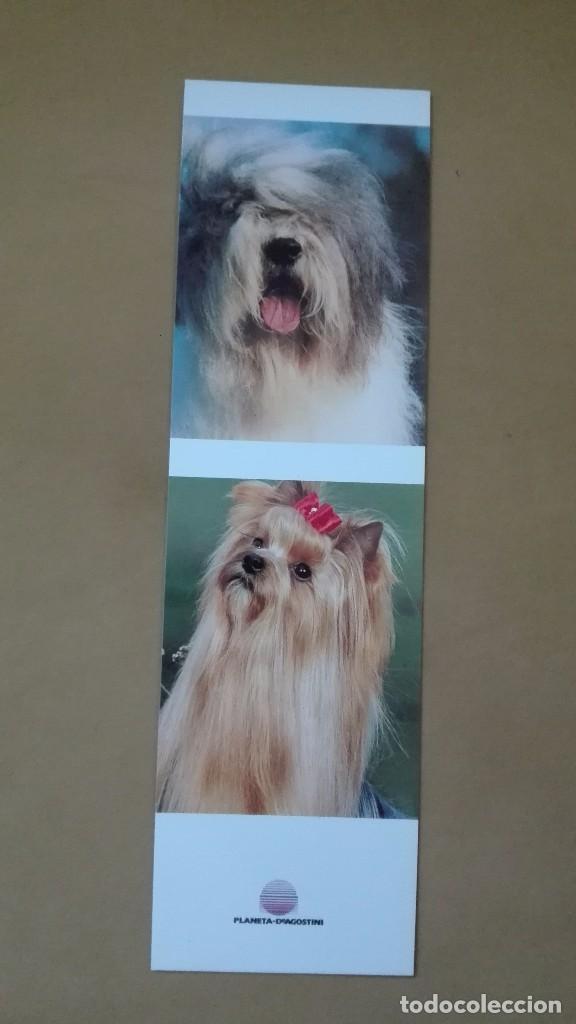 Coleccionismo marcap&aacute;ginas: Marcapaginas Perros Planeta - Foto 1