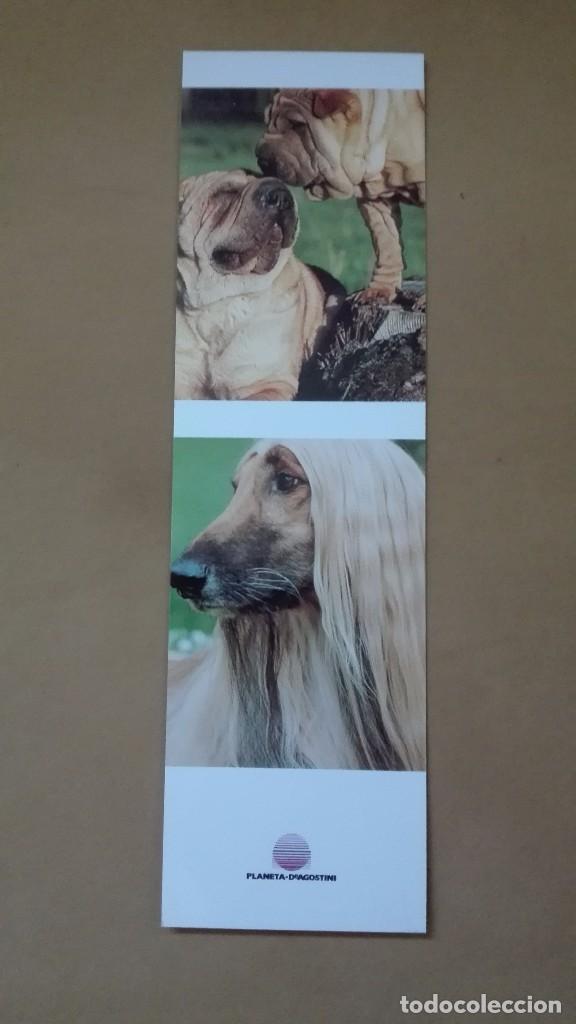 Coleccionismo marcap&aacute;ginas: Marcapaginas Perros Planeta - Foto 2