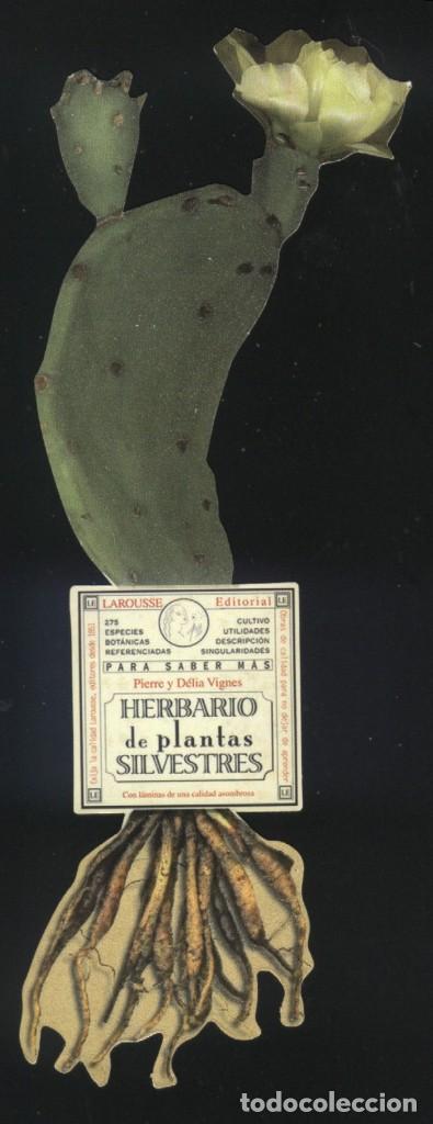Collectables Bookmark: A-6594- MARCAP&Aacute;GINAS TROQUELADO. HERBARIO DE PLANTAS SILVESTRES. PIERRE Y D&Eacute;LIA VIGNES. LAROUSSE.