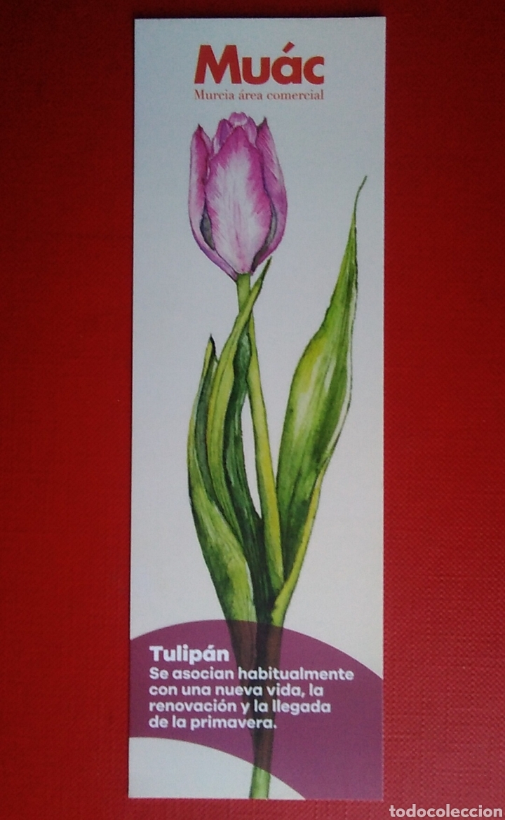 Coleccionismo Marcap&aacute;ginas: Marcap&aacute;ginas tulipan flor Murcia &aacute;rea comercial