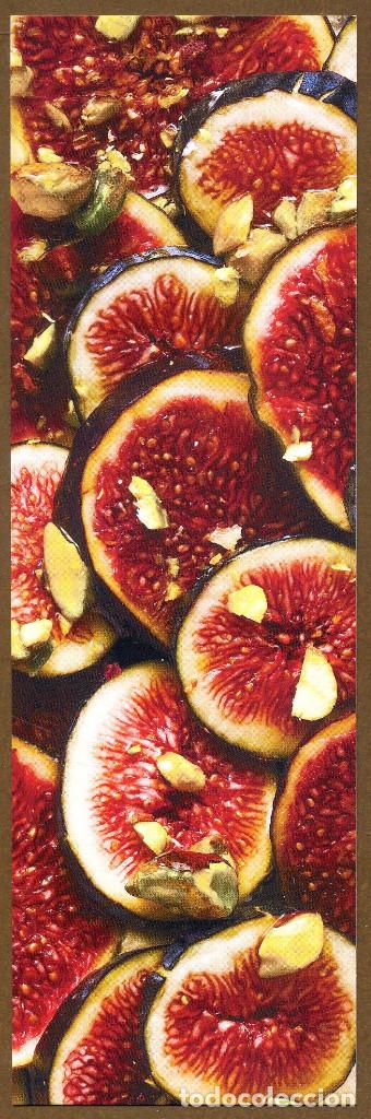 Coleccionismo Marcap&aacute;ginas: Marcap&aacute;ginas &ndash; Editorial SALAMANDRA 330