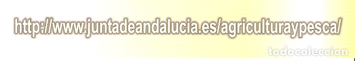 Coleccionismo marcap&aacute;ginas: MARCAPAGINAS JUNTA ANDALUCIA - Foto 1