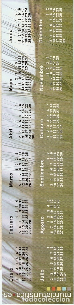 Coleccionismo marcap&aacute;ginas: MARCAPAGINAS CALENDARIO MURCIA 2007 - Foto 2