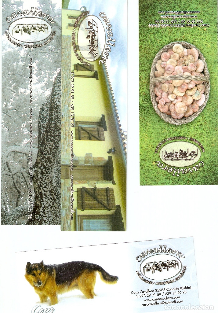 Coleccionismo Marcap&aacute;ginas: 4 MARCAPAGINAS CALENDARIO CASA CAVALLERA 2009-2010-2011