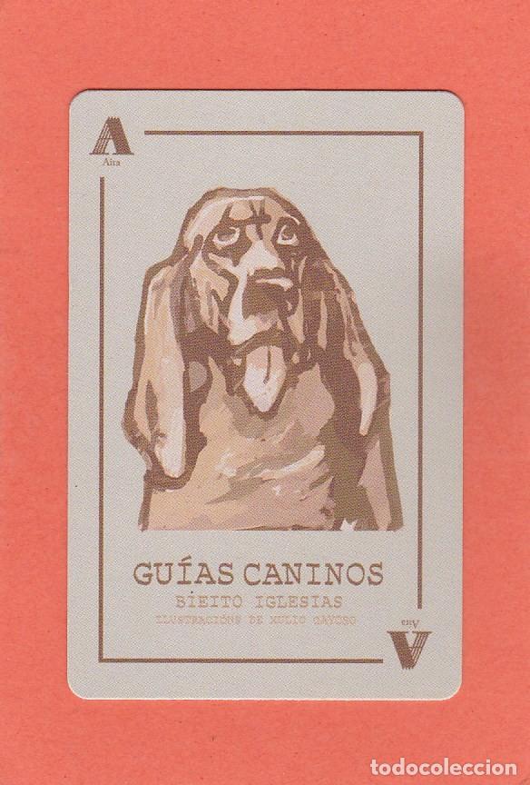 Coleccionismo Marcap&aacute;ginas: MARCAPAGINAS AIRA EDITORIAL. GUIAS CANINOS
