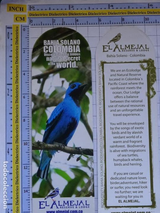 Collectionnisme Marque-pages: MARCAP&Aacute;GINAS DE TURISMO ECOLOG&Iacute;A ANIMALES. EL ALMEJAL BAH&Iacute;A SOLANO COLOMBIA. AVE P&Aacute;JARO